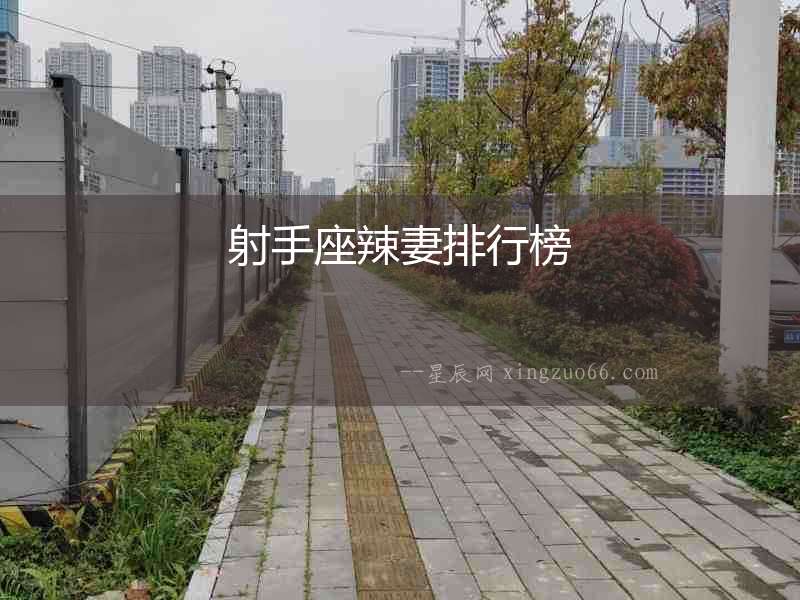 射手座辣妻排行榜