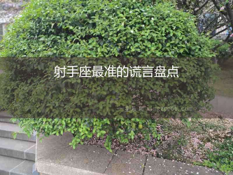 射手座最準的謊言盤點
