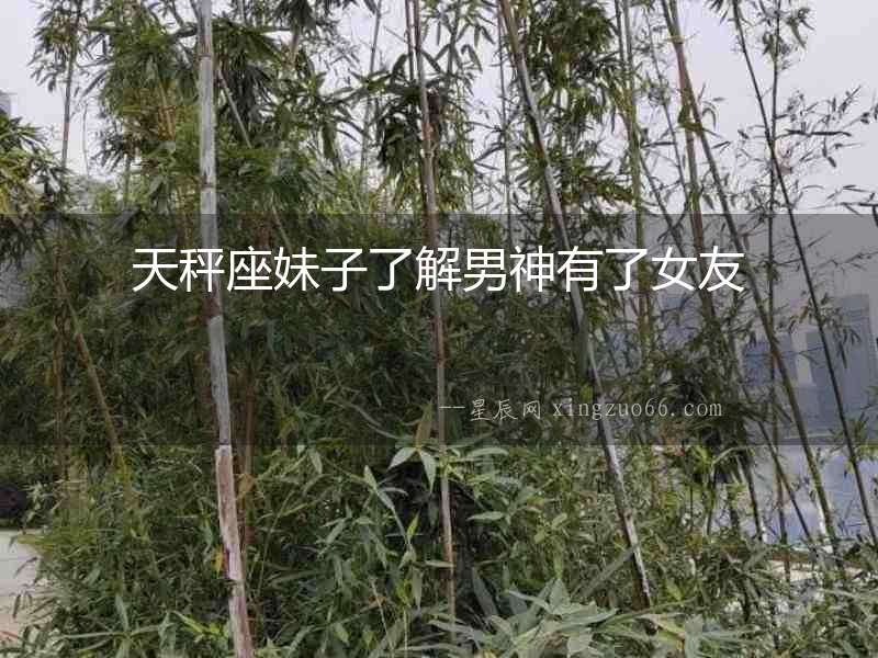 天秤座妹子了解男神有了女友