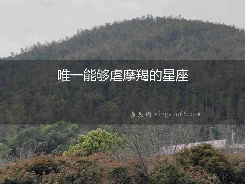 唯一能夠虐摩羯的星座