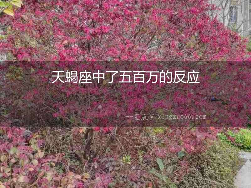 天蝎座中了五百萬的反應