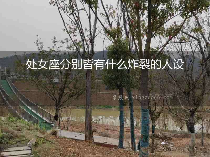 處女座分別皆有什么炸裂的人設