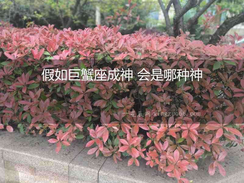 假如巨蟹座成神 會是哪種神