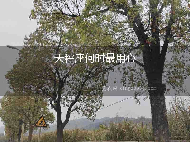 天秤座何時最用心