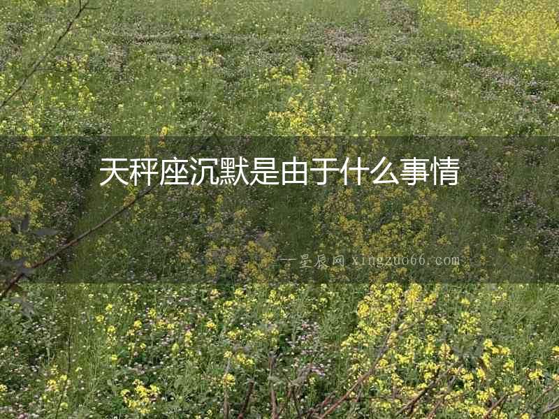 天秤座沉默是由于什么事情