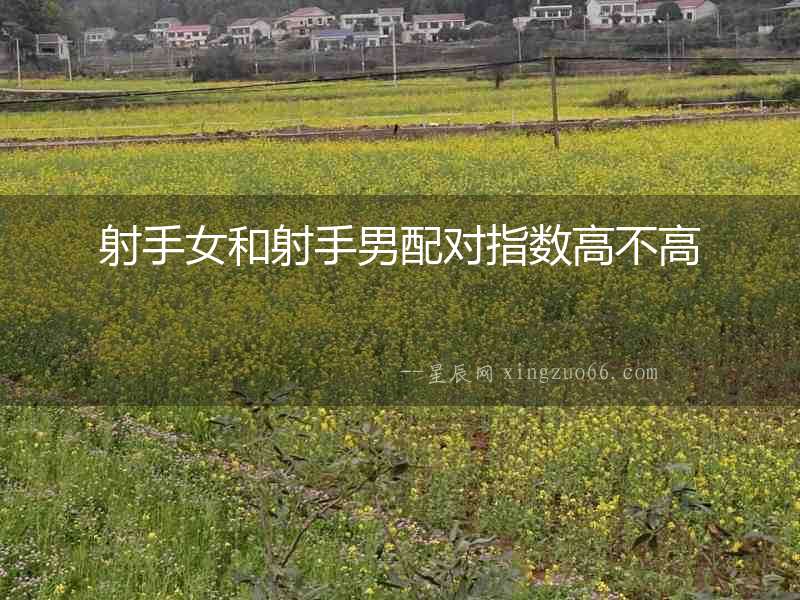 射手女和射手男配對指數高不高