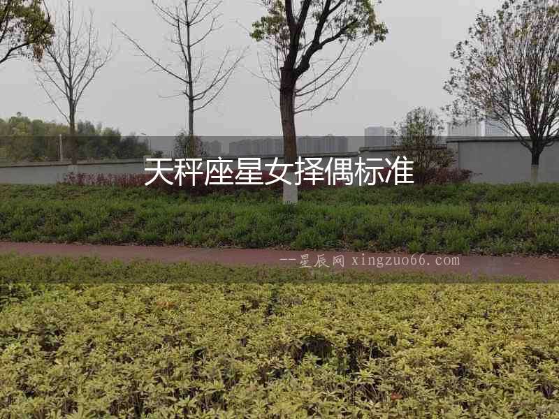 天秤座星女擇偶標準
