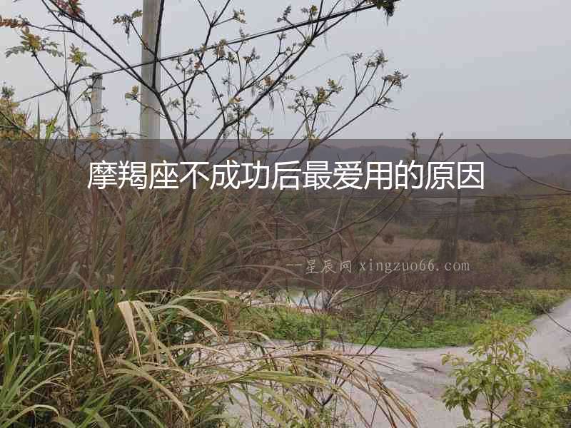 摩羯座不成功后最愛用的原因