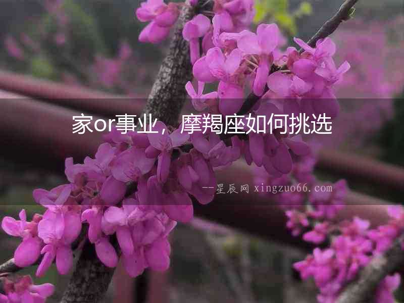 家or事業(yè)，摩羯座如何挑選