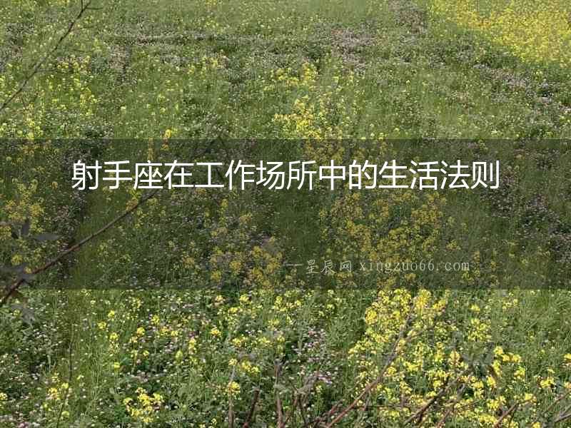射手座在工作場所中的生活法則