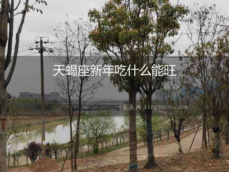 天蝎座新年吃什么能旺