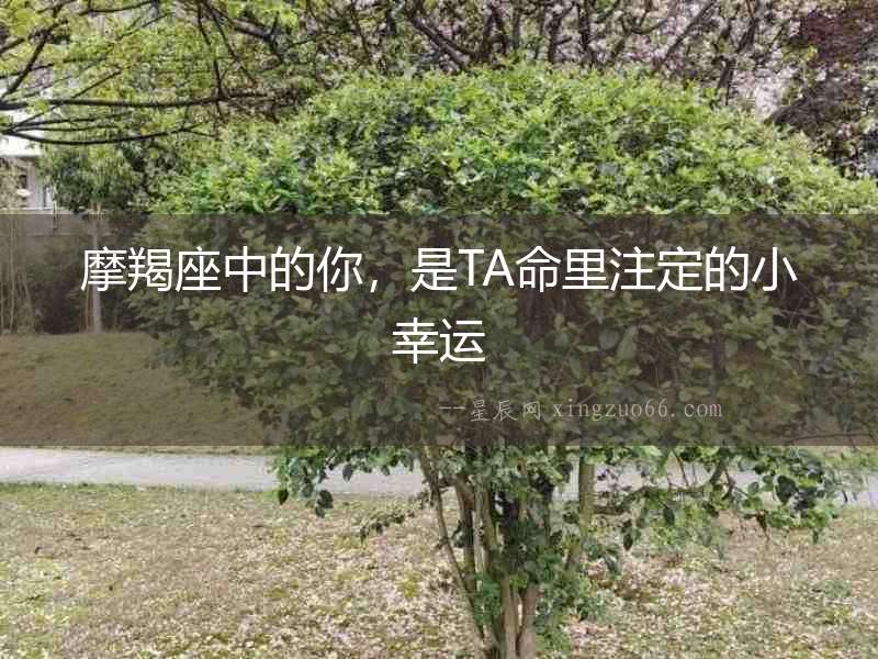 摩羯座中的你，是TA命里注定的小幸運