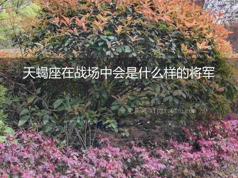 天蝎座在戰(zhàn)場中會是什么樣的將軍