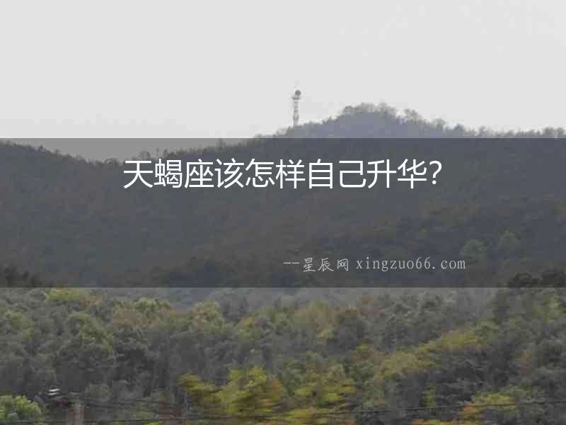 天蝎座該怎樣自己升華？