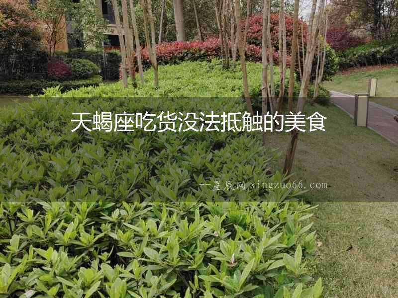 天蝎座吃貨沒法抵觸的美食