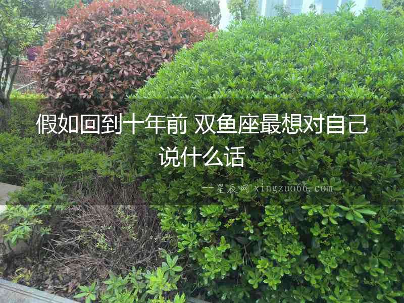 假如回到十年前 雙魚座最想對自己說什么話