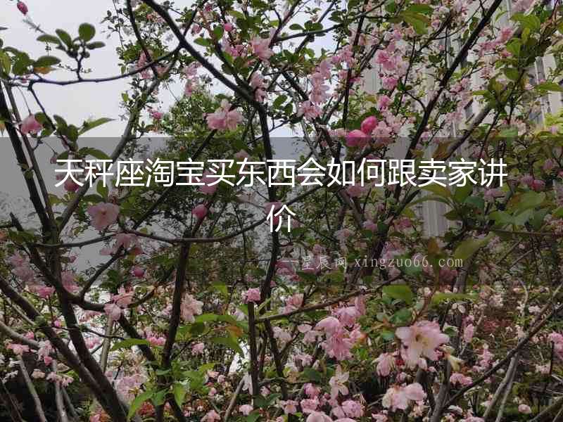 天秤座淘寶買東西會如何跟賣家講價