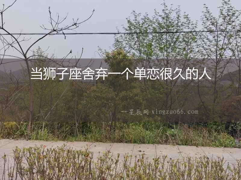 當獅子座舍棄一個單戀很久的人