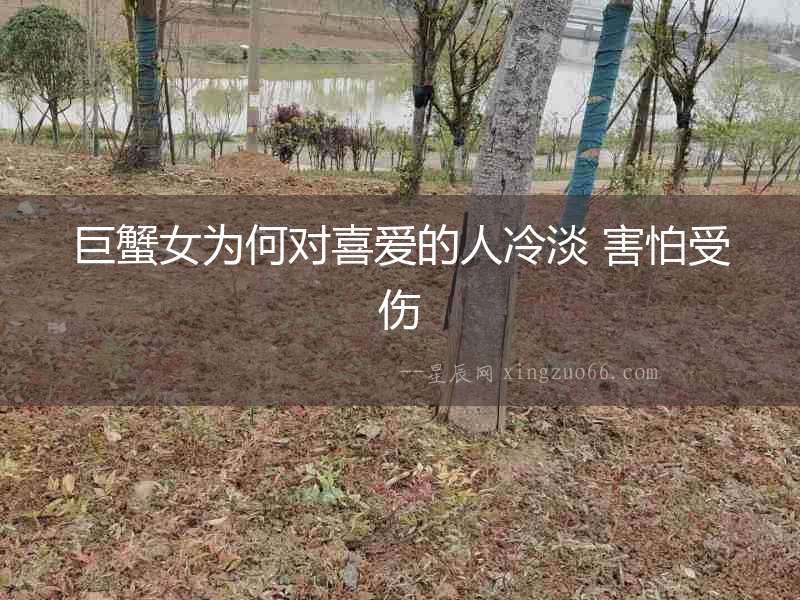 巨蟹女為何對(duì)喜愛(ài)的人冷淡 害怕受傷