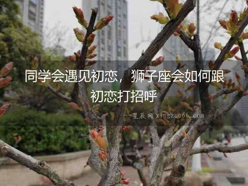 同學會遇見初戀，獅子座會如何跟初戀打招呼