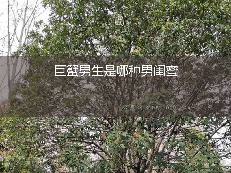 巨蟹男生是哪種男閨蜜