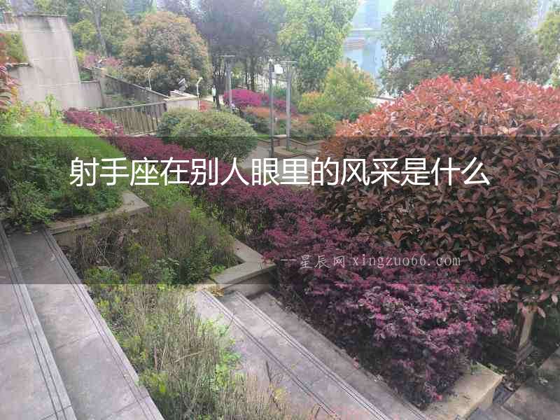 射手座在別人眼里的風采是什么