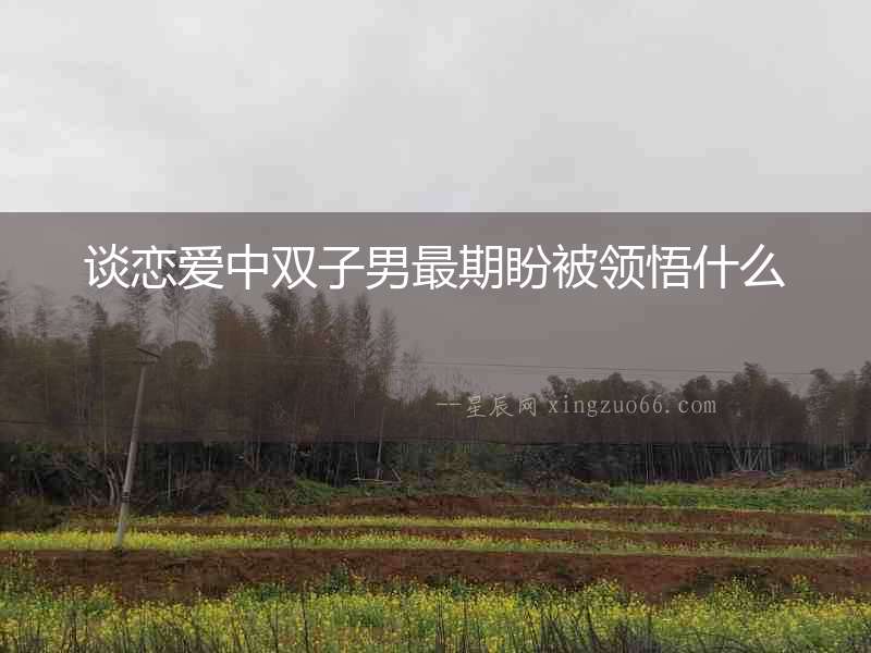 談戀愛中雙子男最期盼被領悟什么