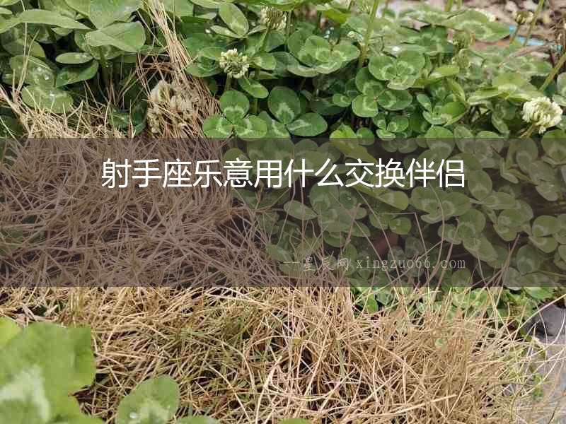射手座樂意用什么交換伴侶
