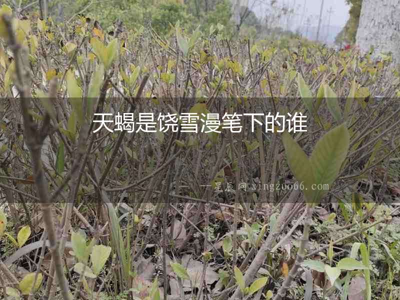 天蝎是饒雪漫筆下的誰