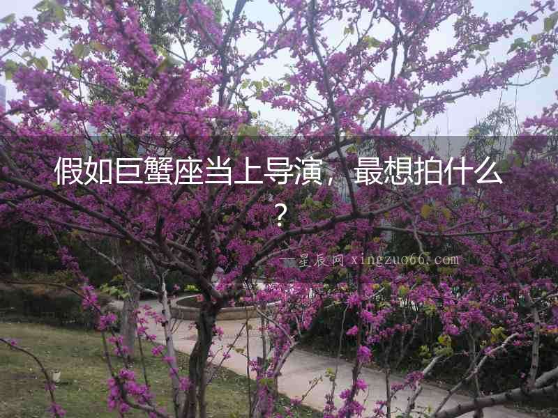 假如巨蟹座當上導演，最想拍什么？