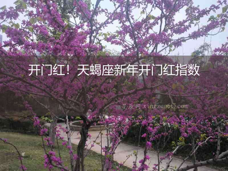開門紅！天蝎座新年開門紅指數