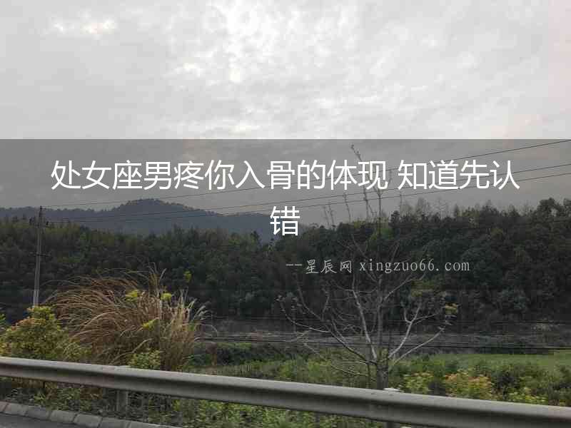 處女座男疼你入骨的體現 知道先認錯