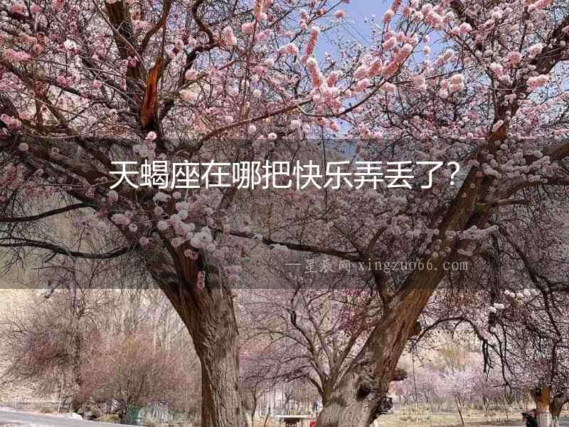 天蝎座在哪把快樂(lè)弄丟了？