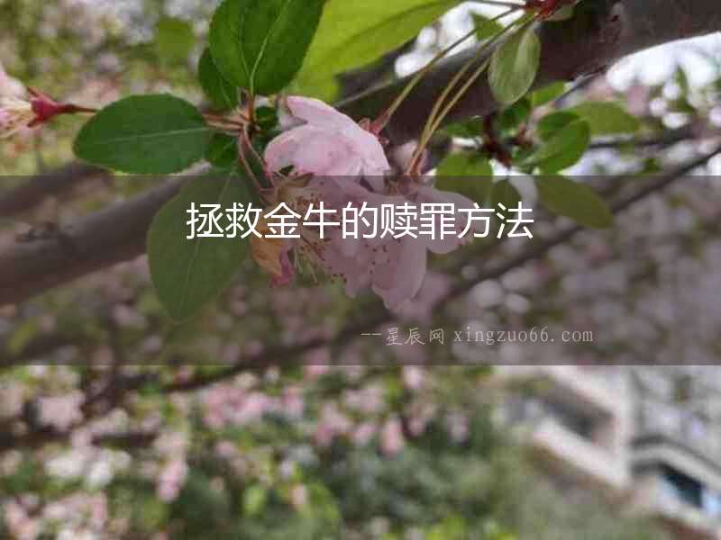 拯救金牛的贖罪方法