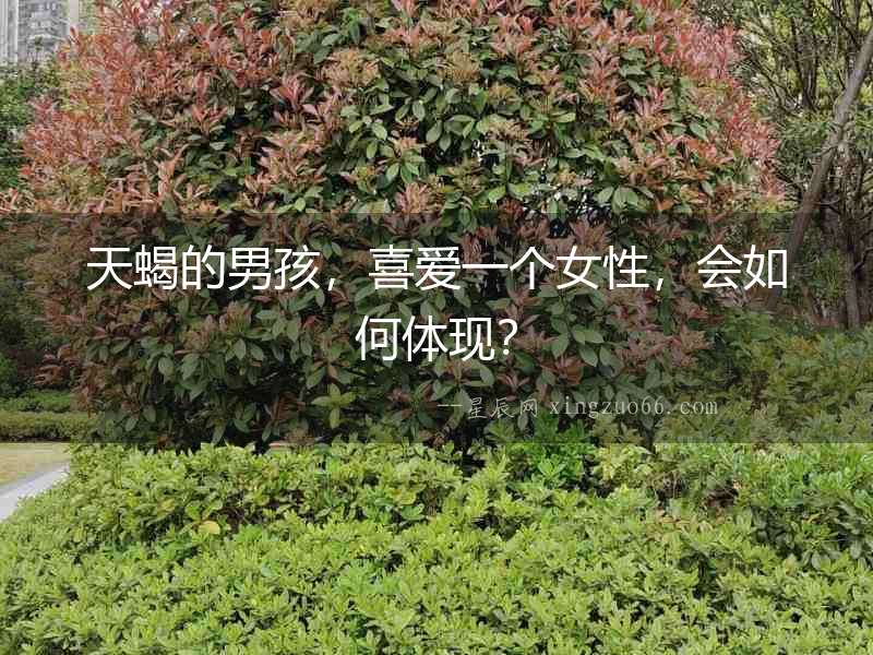 天蝎的男孩，喜愛一個女性，會如何體現(xiàn)？
