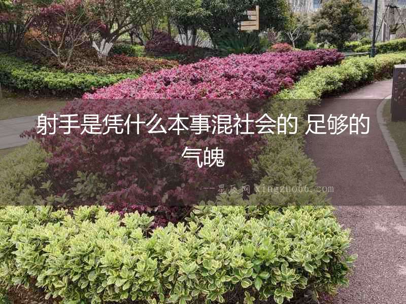 射手是憑什么本事混社會的 足夠的氣魄