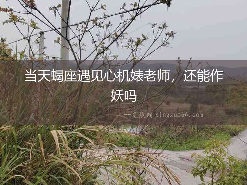 當天蝎座遇見心機婊老師，還能作妖嗎