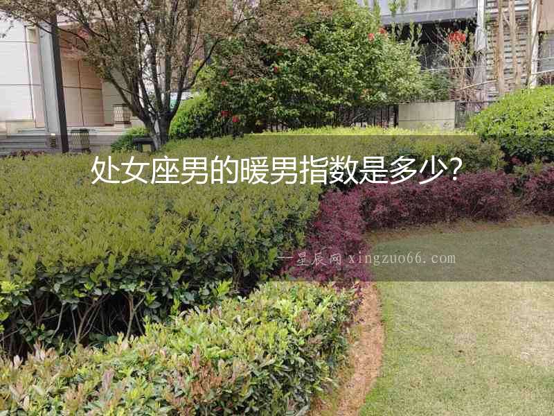 處女座男的暖男指數(shù)是多少？