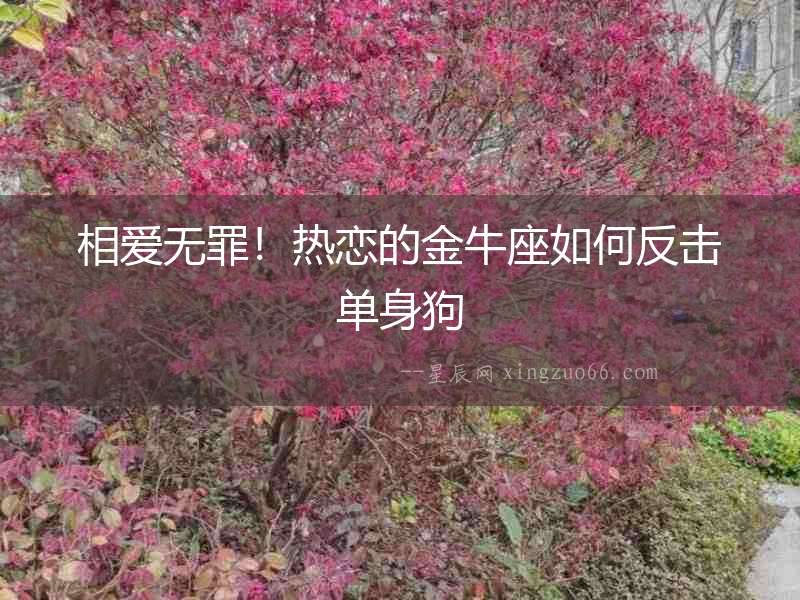 相愛(ài)無(wú)罪！熱戀的金牛座如何反擊單身狗