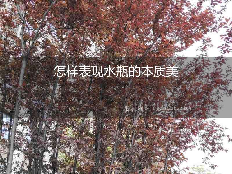 怎樣表現水瓶的本質美