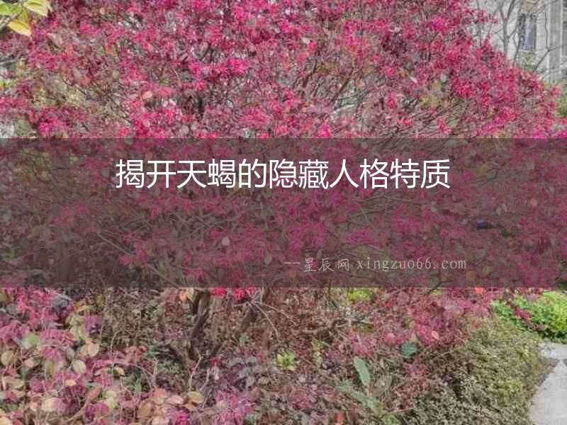 揭開天蝎的隱藏人格特質(zhì)