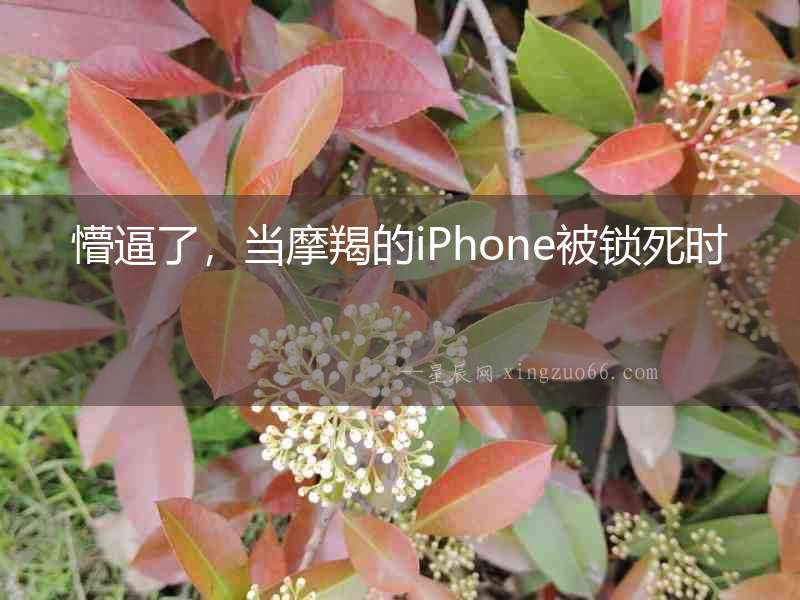 懵逼了，當摩羯的iPhone被鎖死時