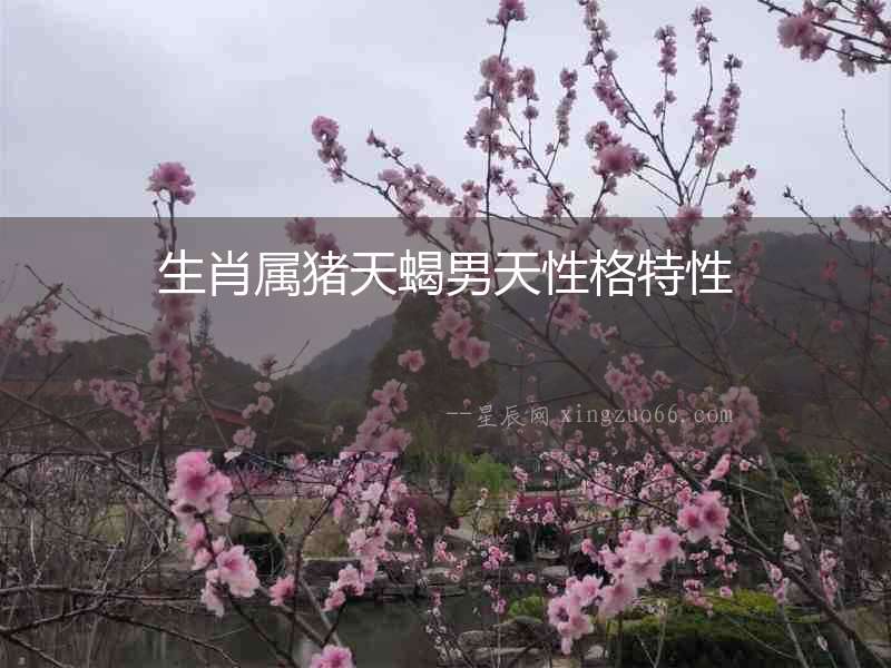 生肖屬豬天蝎男天性格特性