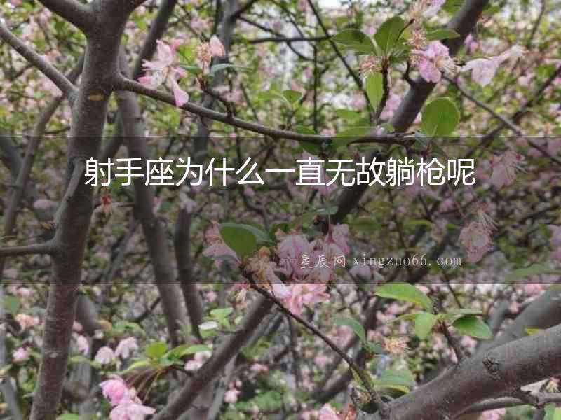 射手座為什么一直無故躺槍呢