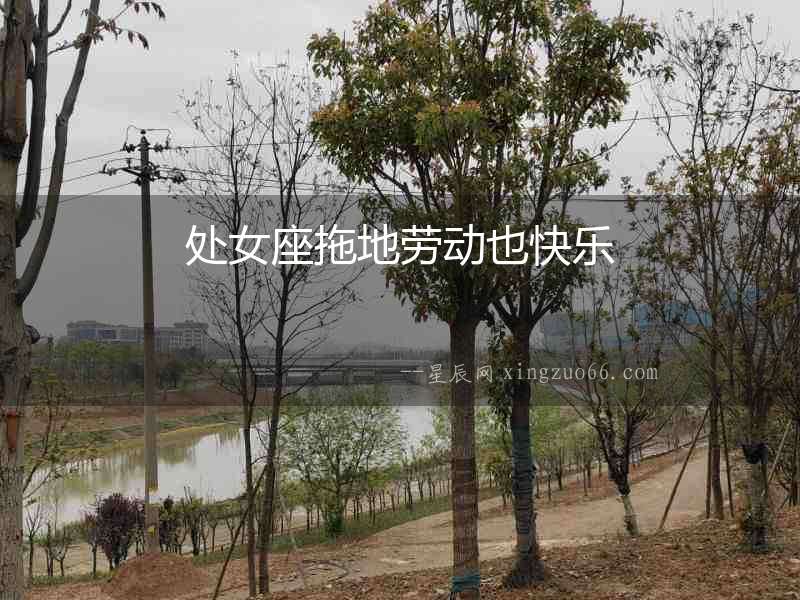處女座拖地勞動也快樂