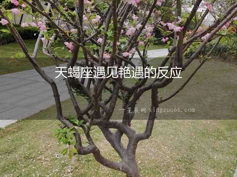 天蝎座遇見艷遇的反應(yīng)