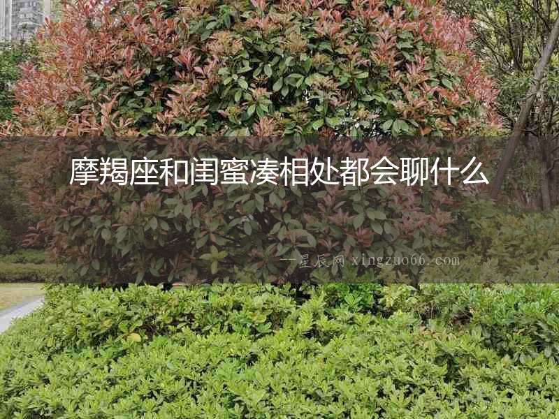 摩羯座和閨蜜湊相處都會聊什么