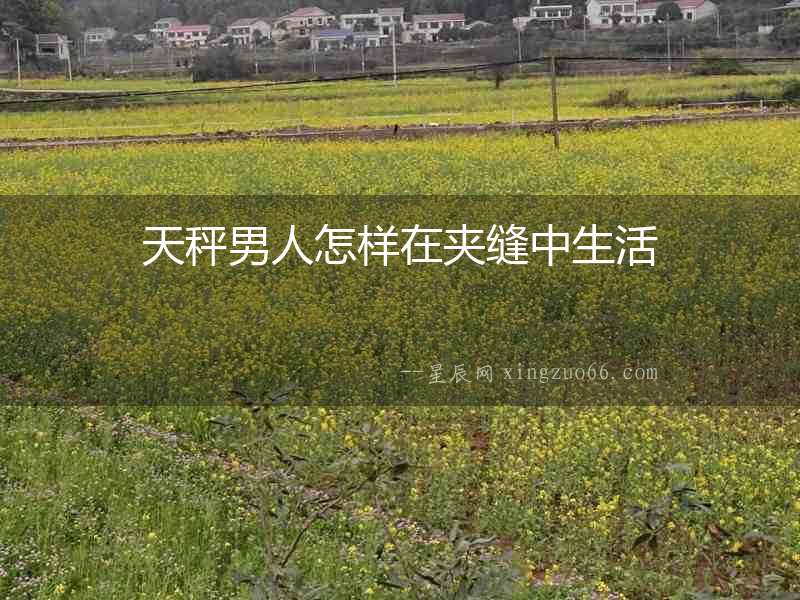 天秤男人怎樣在夾縫中生活
