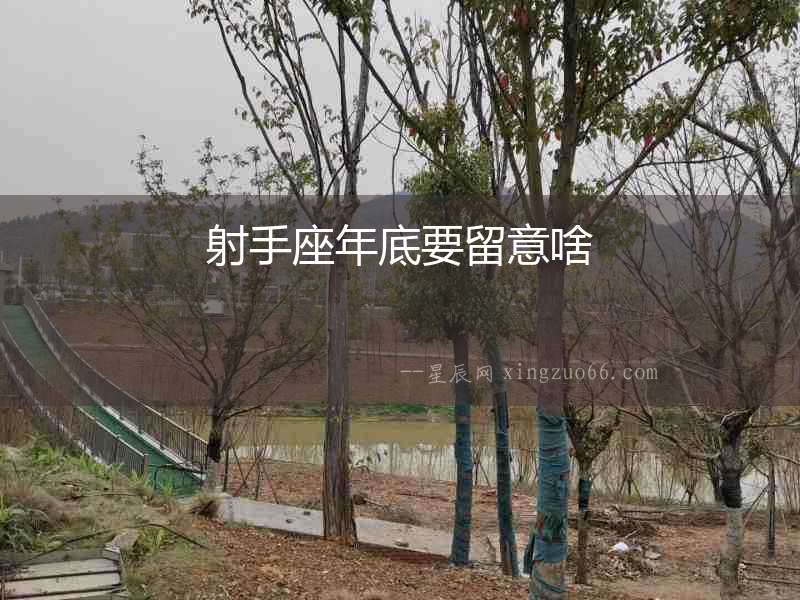 射手座年底要留意啥