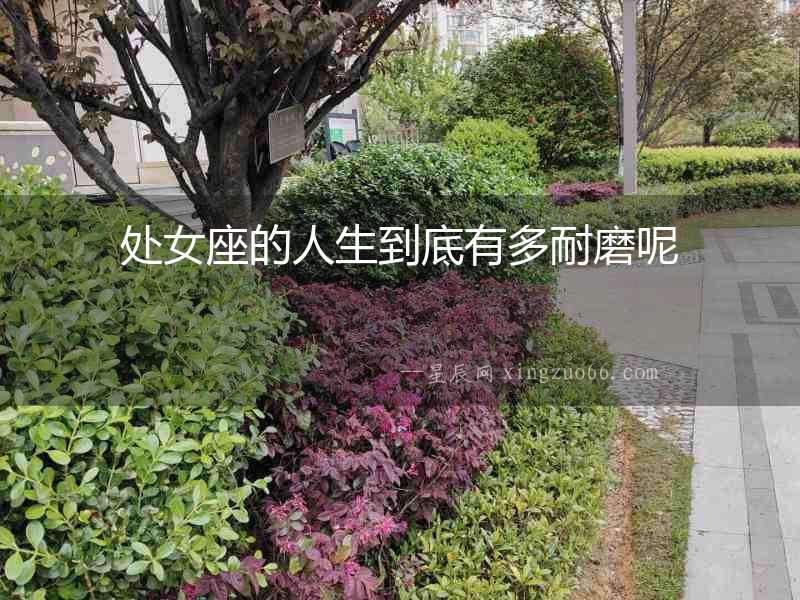 處女座的人生到底有多耐磨呢